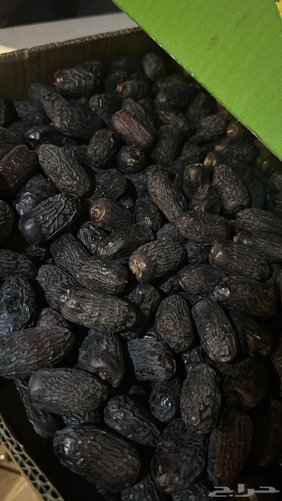 Premium Ajwa and Majdoul Dates64521140083714113