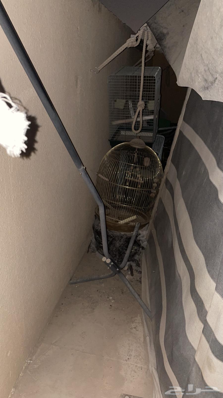 قفص طيور للبيع64522837355523110