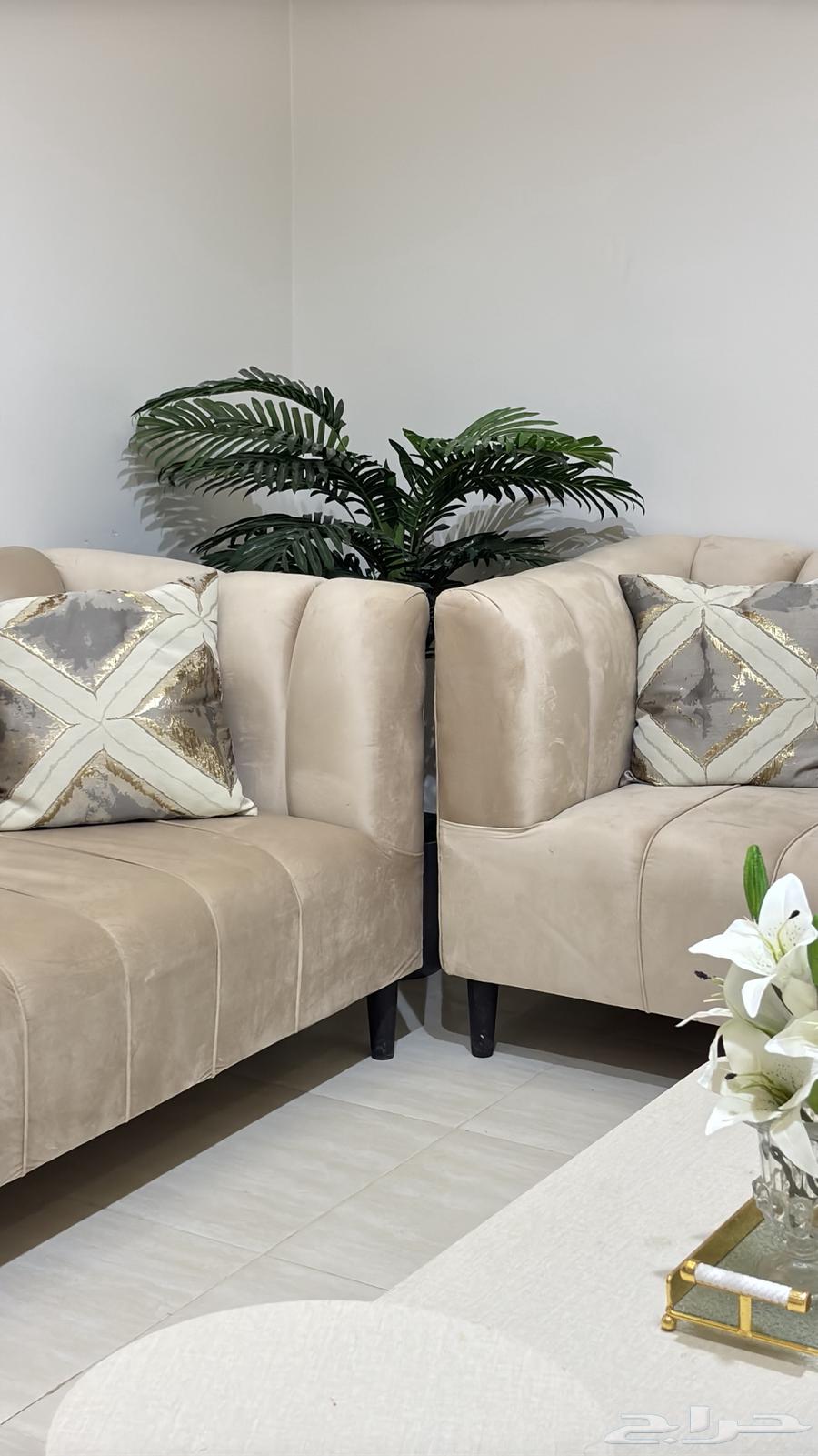 كنب للبيع64520034425473113