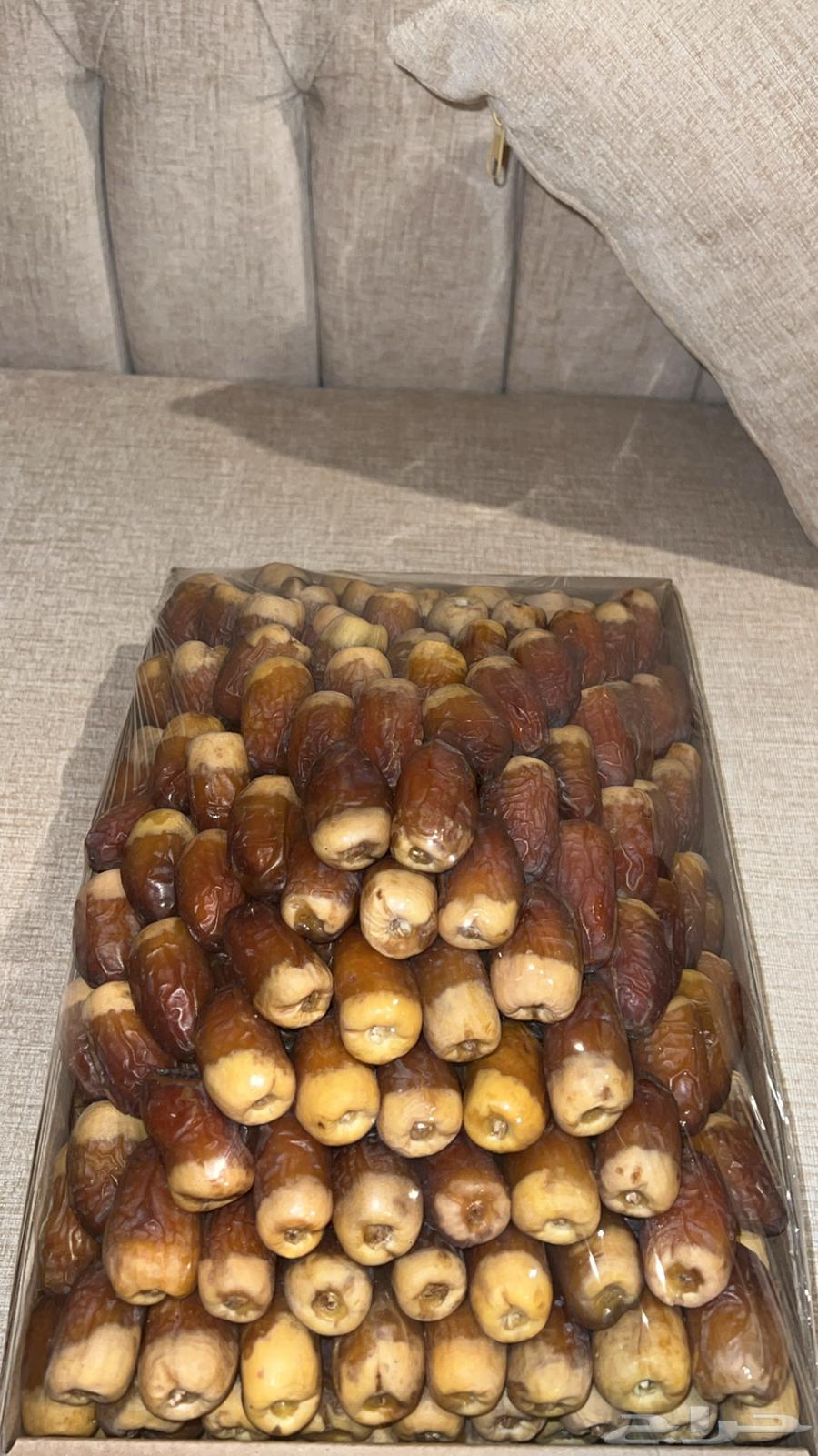 Premium Sukkari Dates64525192031619113