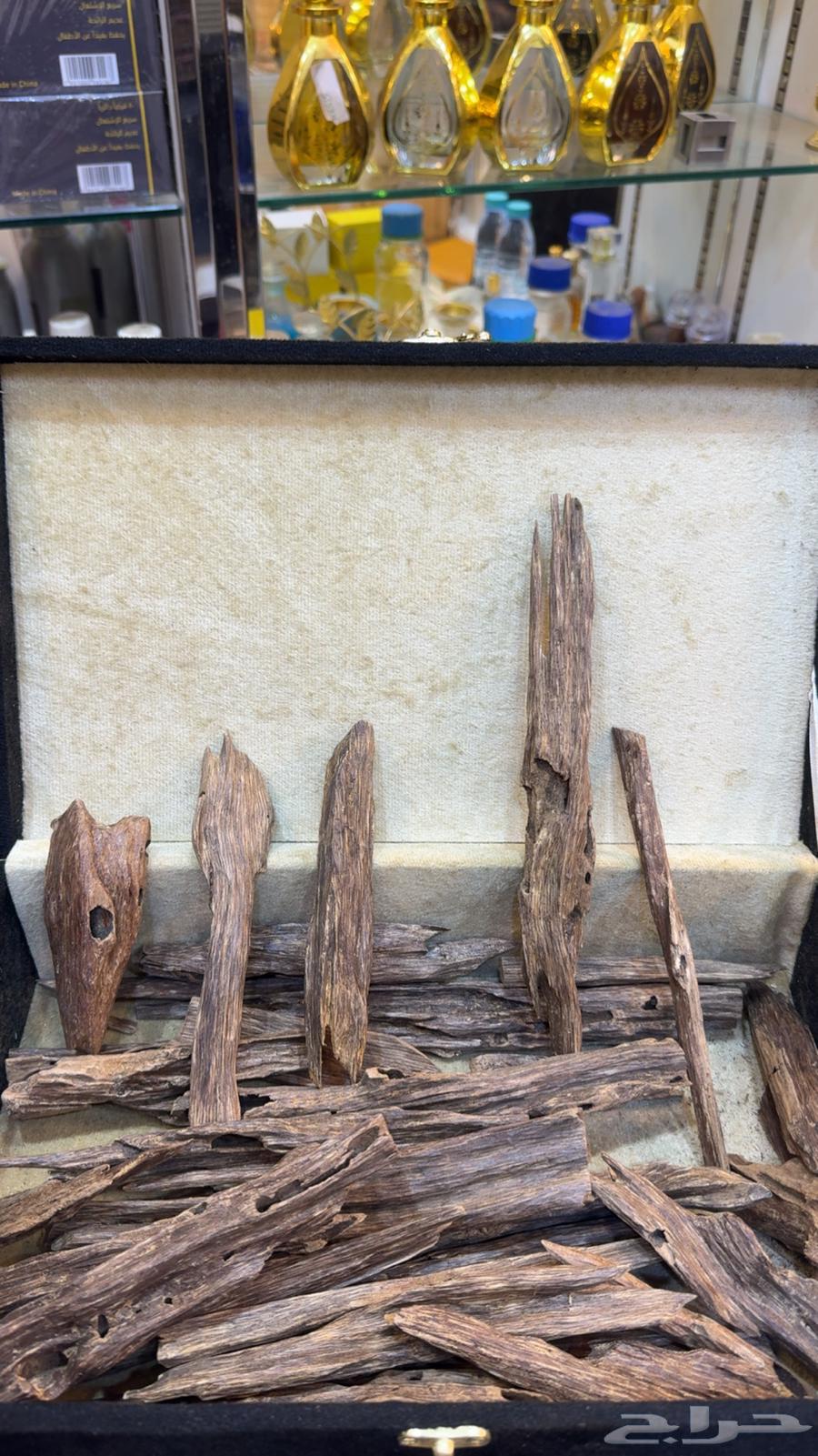 عود طبيعي هندي نجلاند64524712344193110