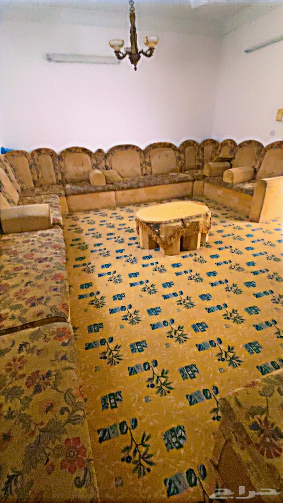 كنب للبيع 14 حبه مع 3 زوايا64524753649155111