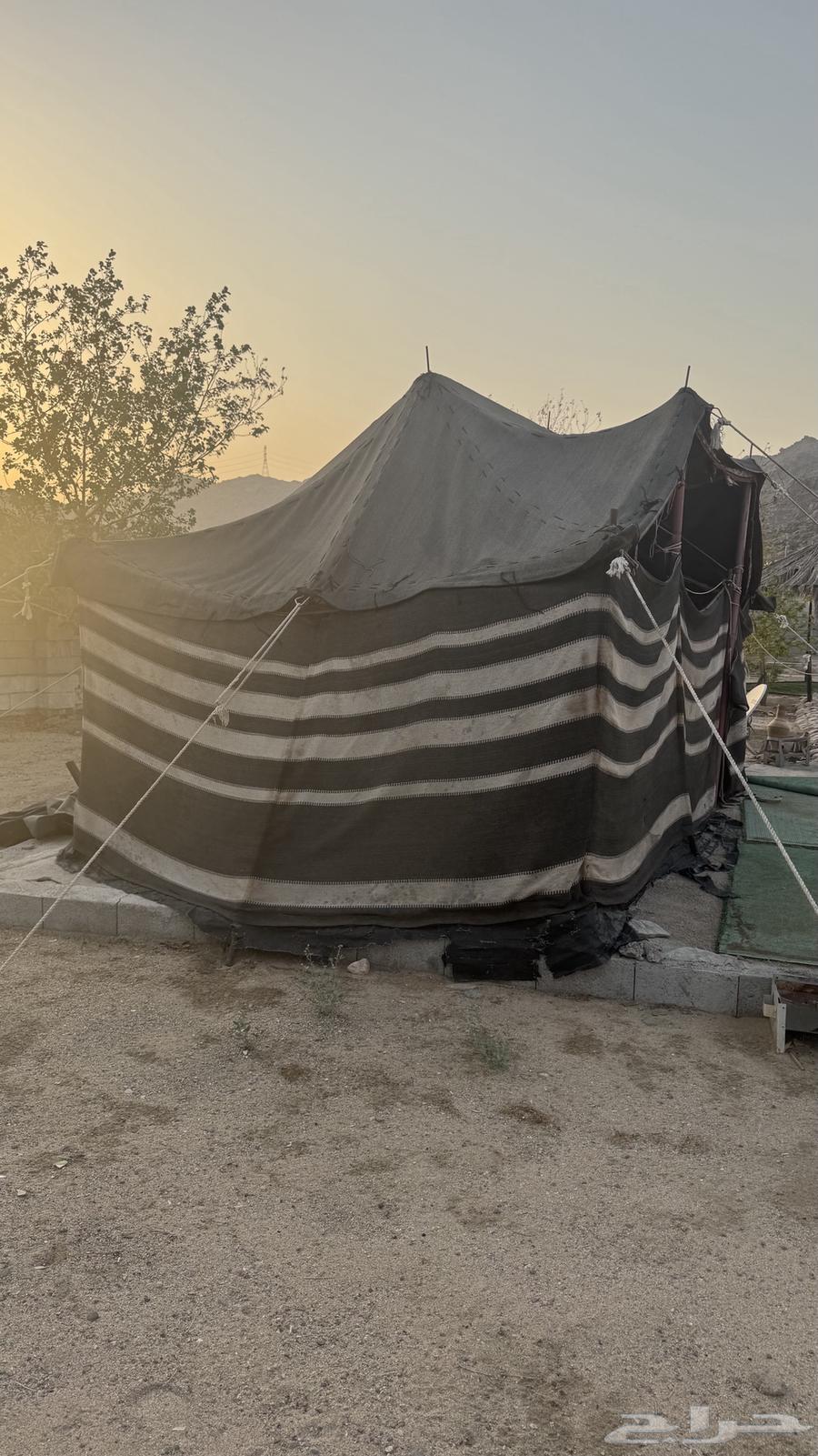 خيمة شعر للبيع64518988625411111