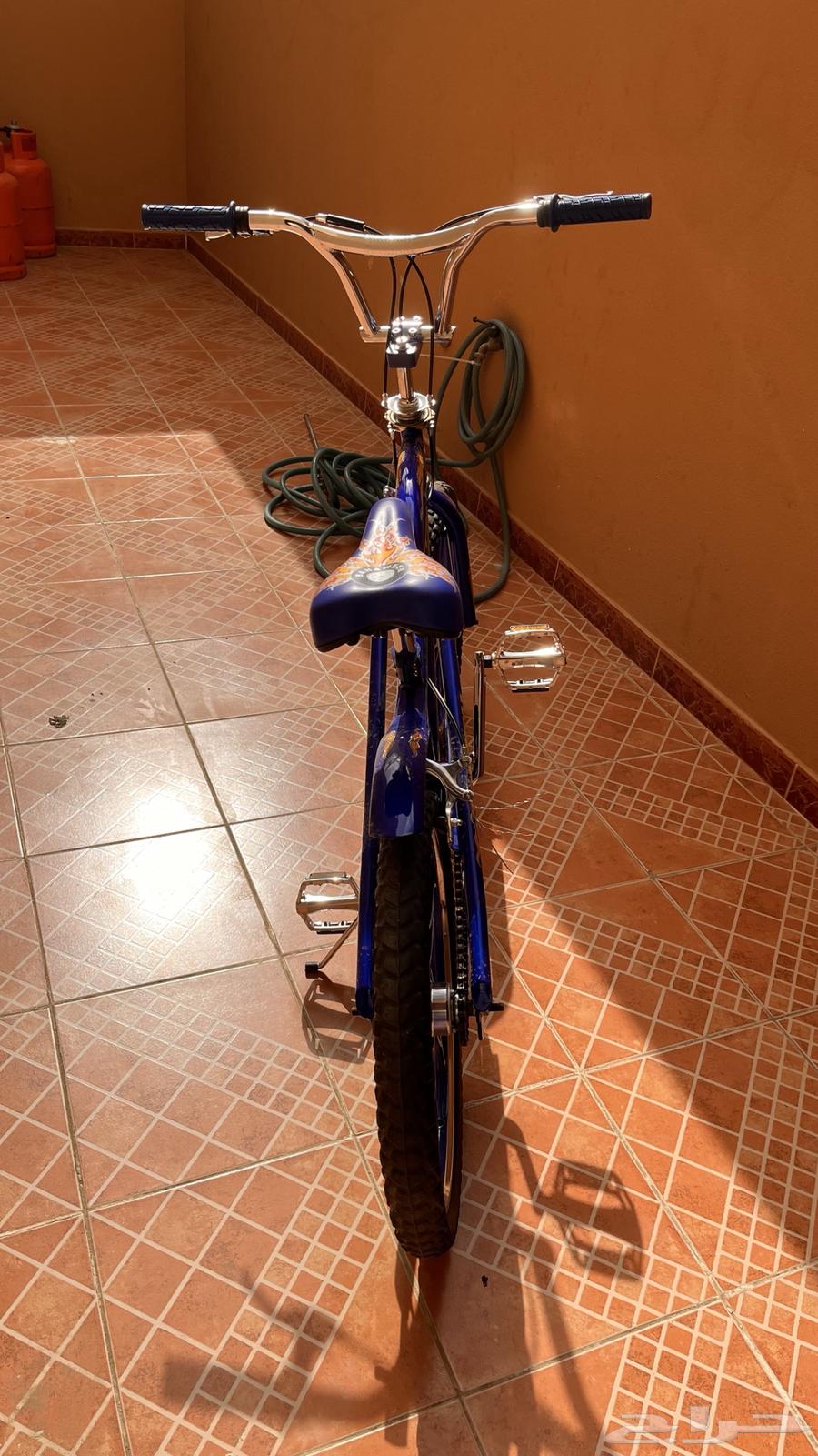 Cyclone Cobra64524284851457113