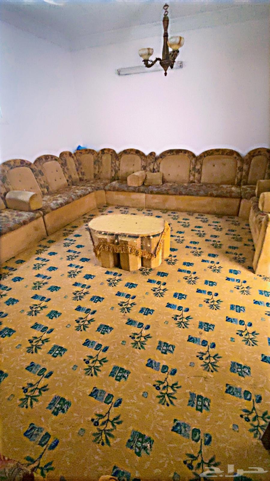 كنب للبيع 14 حبه مع 3 زوايا64524753649155110