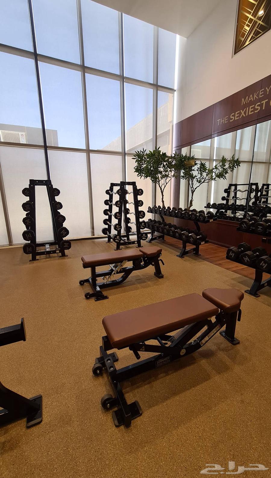 تنازل عن نادي64521154466179110