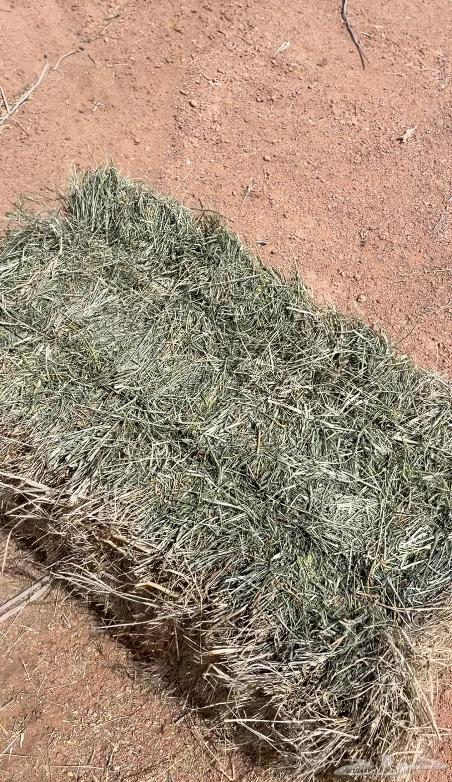 Mixed clover64521836618370112