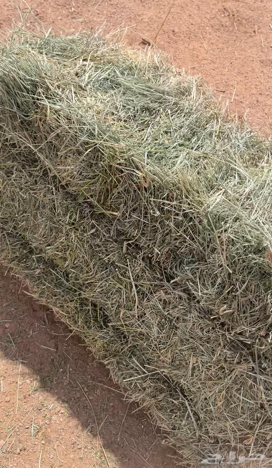 Mixed clover64521836618370111