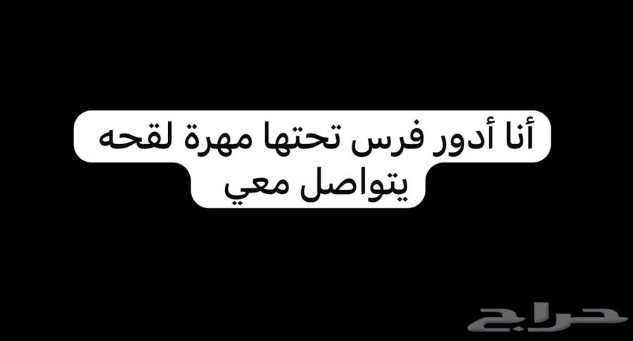 Al-Mash'aliyah64522823120897110