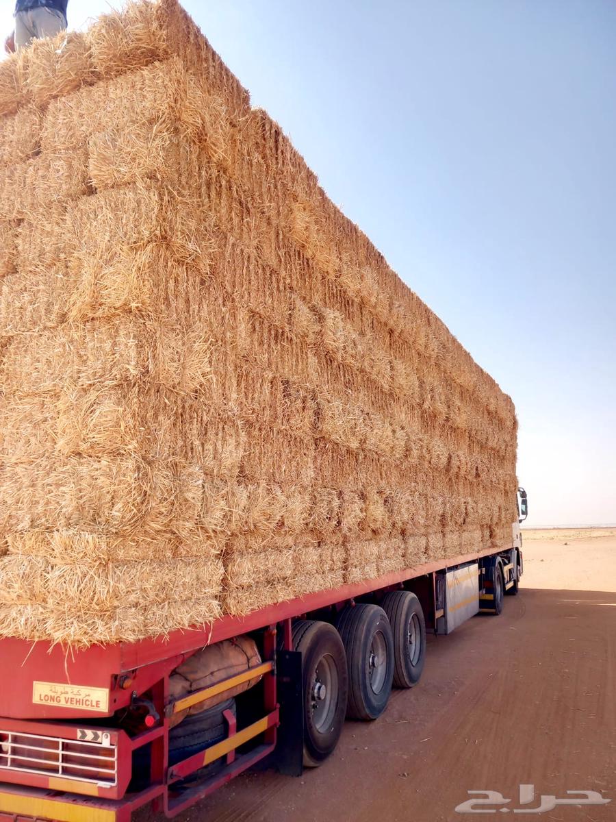 Wheat straw64526648277762112