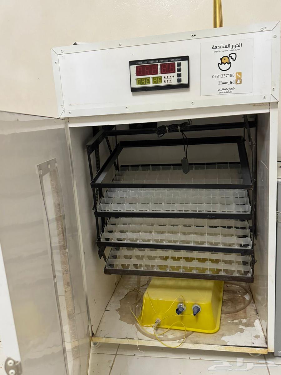 فقاسة فل تماتيك 325 بيضه64519540112131112