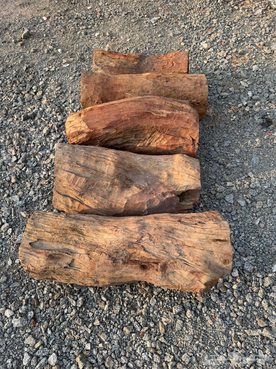 عيدان قفل نحل64524712254337111