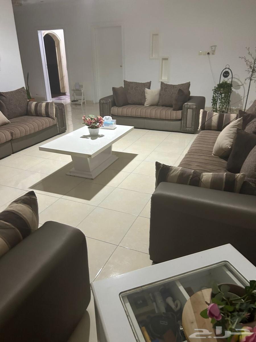 Demmos Sofa64519864512515110