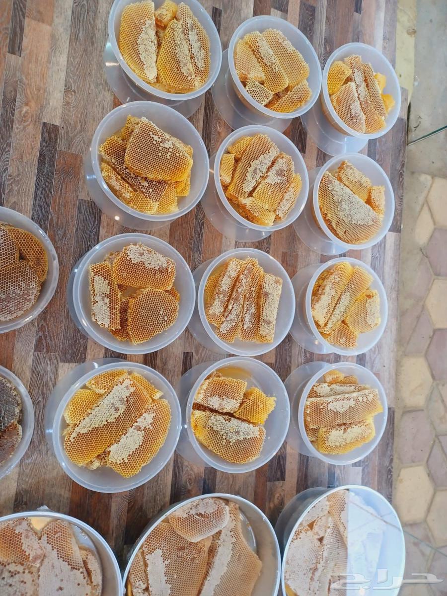 Premium Sidr, Talh, and Samr Honey for Sale64520670956418112