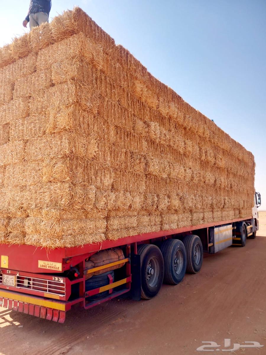 Wheat straw64526648277762111