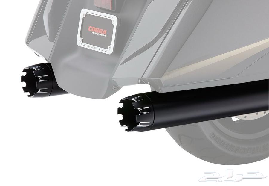 دبات كوبرا الامريكية للقولدوينق64522216084481111