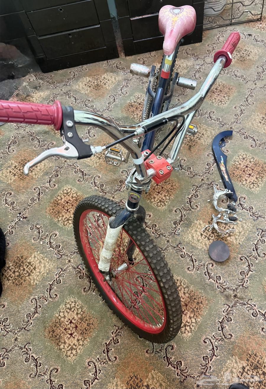 سيكل كوبرا للبيع64524208959235113