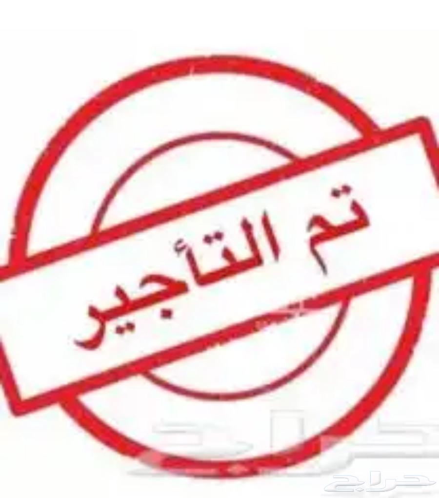 شقة للإيجار