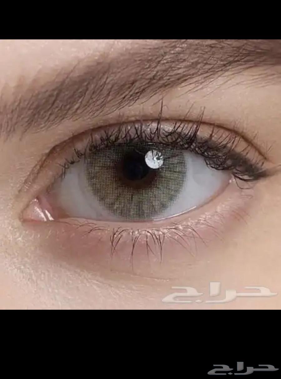 عندي عدسات وابي ابيعها بالجمله عدسات سته شهور64524036559746114