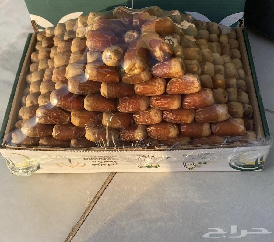Executed premium royal Sukkari dates from the farm in Al-Qassim, wrapped64520543984771110
