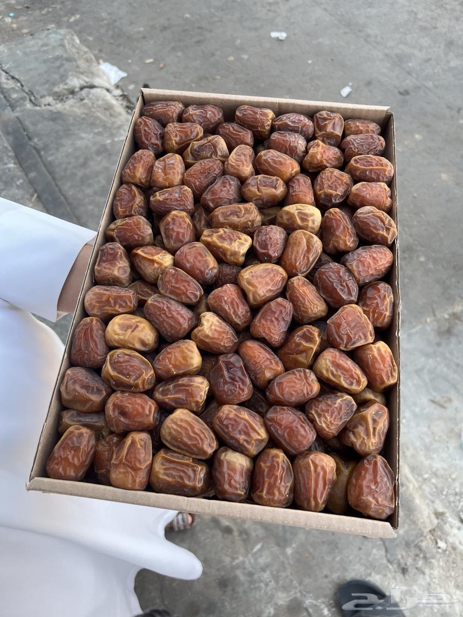 Galaxy Premium Dates64522584516226110