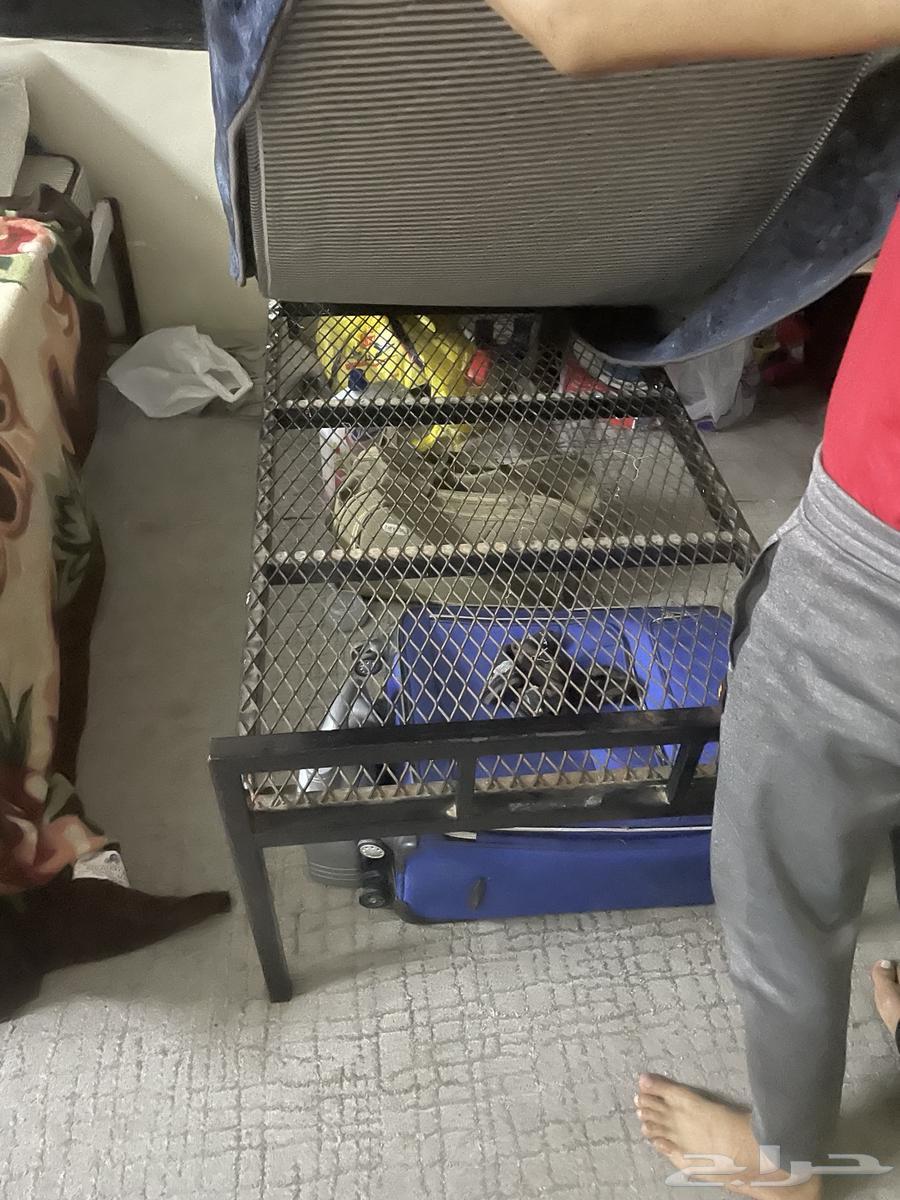 سرر حديد للبيع مع المرتبه64522159451906111