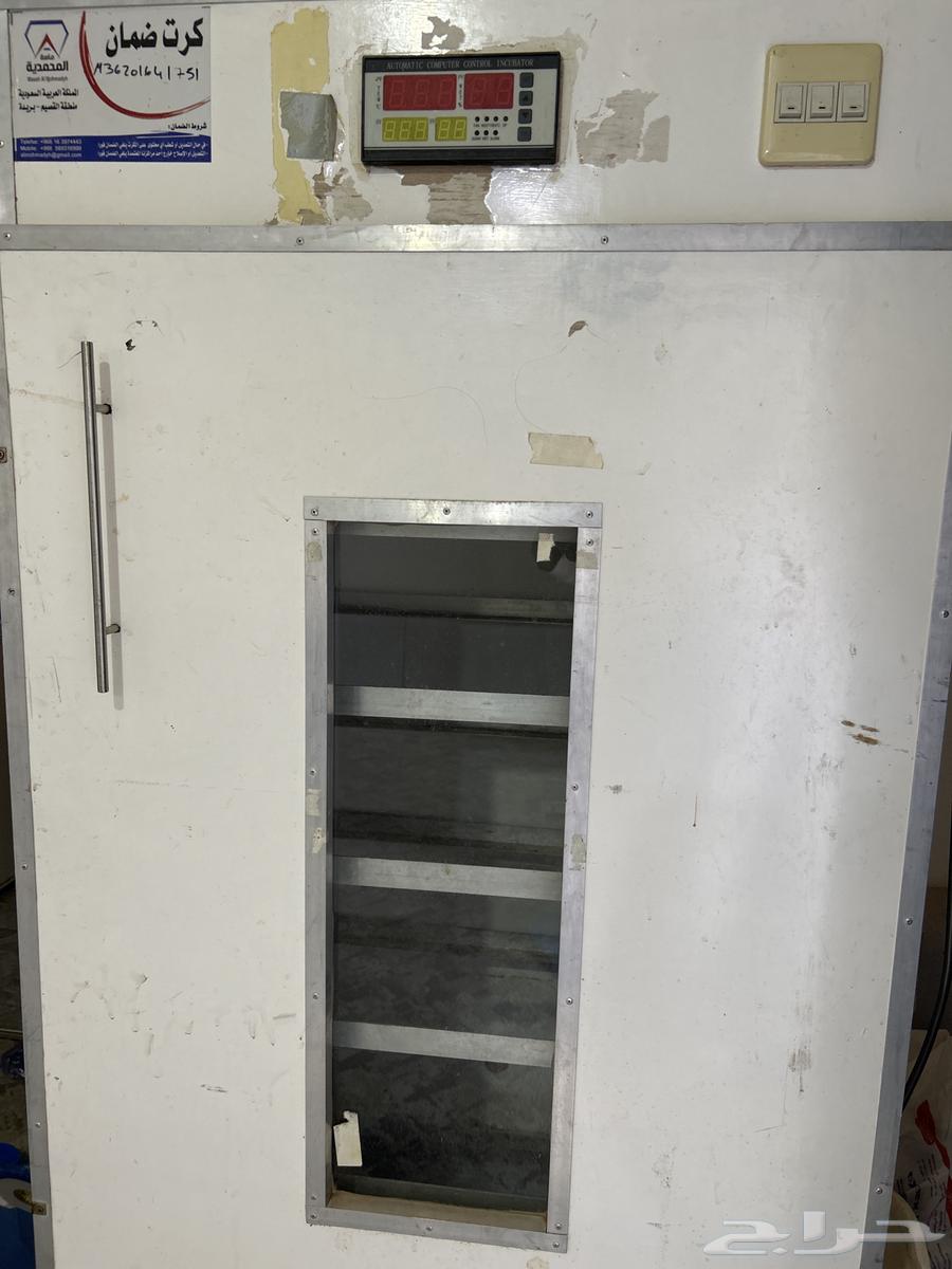 Al-Mahmoudia Diamond Incubator64523555979523110