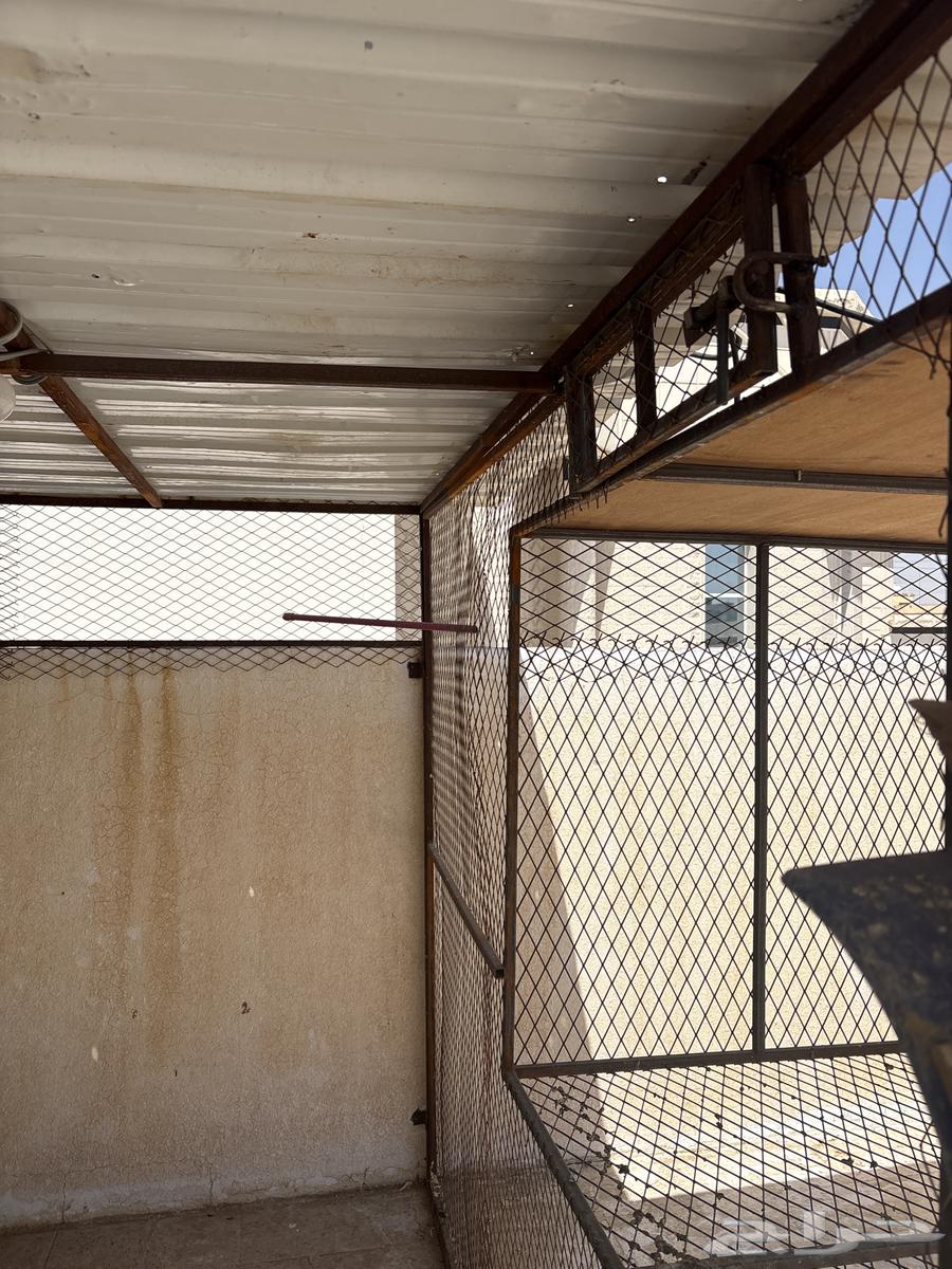 شبك للبيع64581402147715111