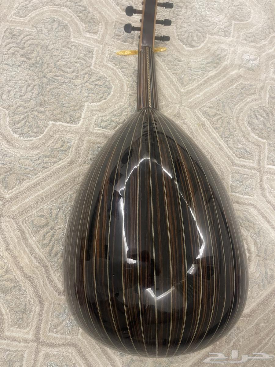 عود للبيع64526801245699110