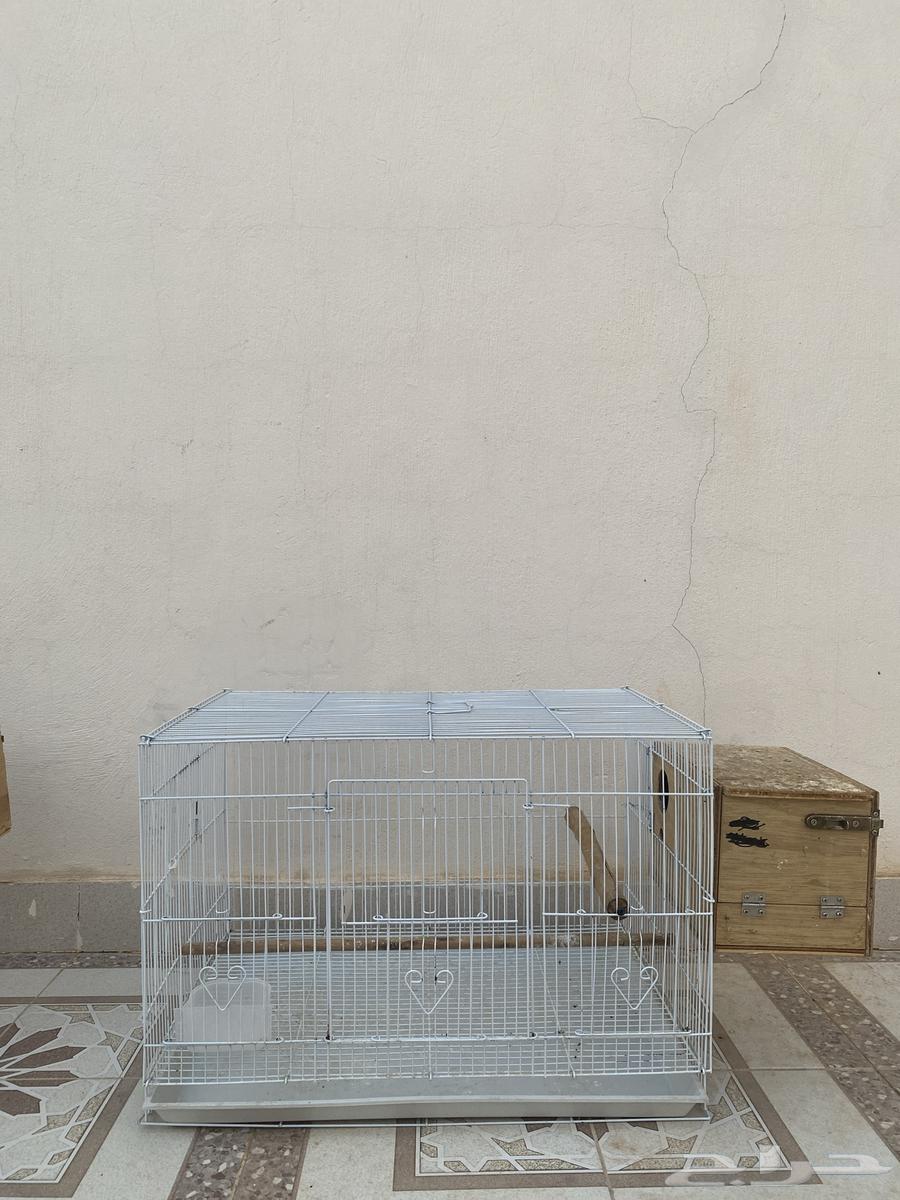 البيع64524573316227112