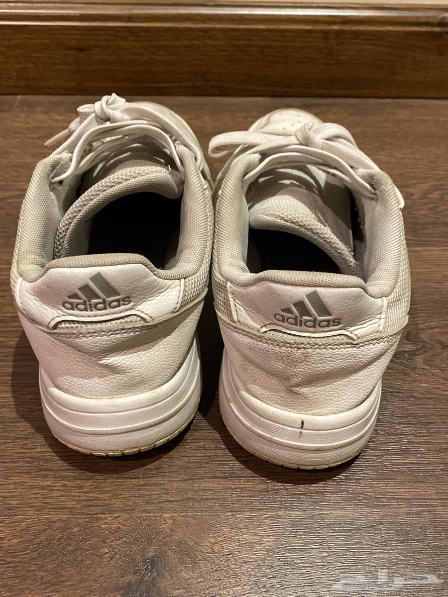 شوز اديداس وجاكيت64520289821826112