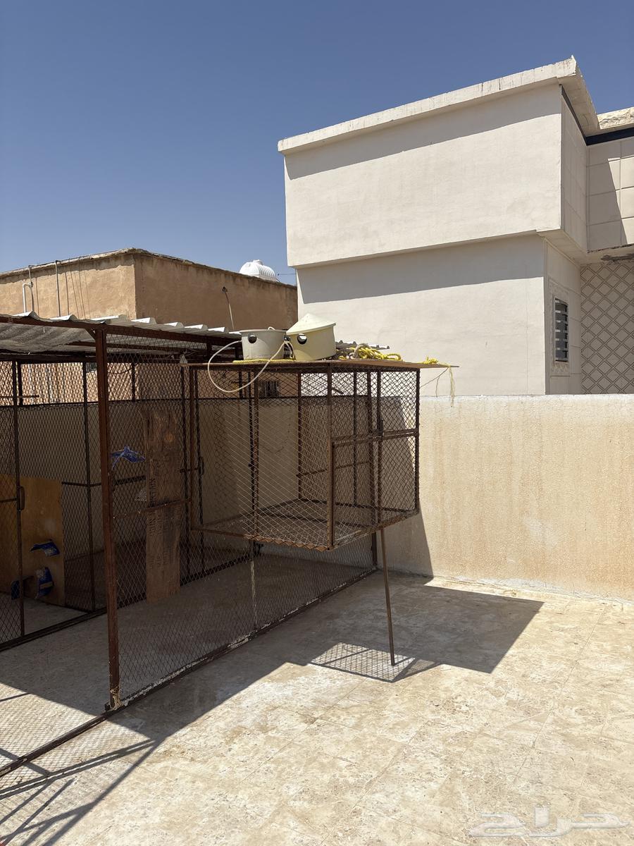 شبك للبيع64581402147715110