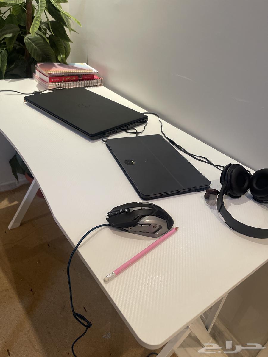 طولة قيمنق64519652950403110