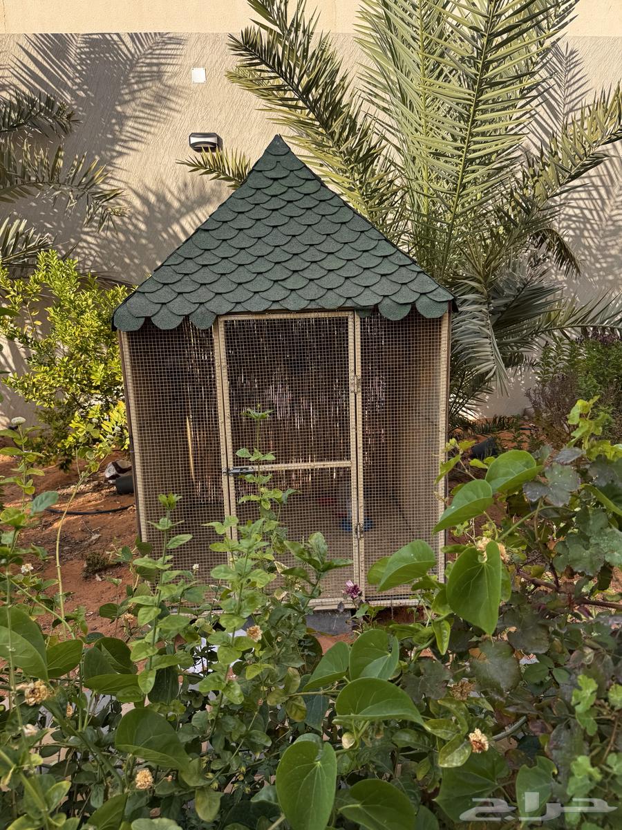 قفص طيور64524932768769110