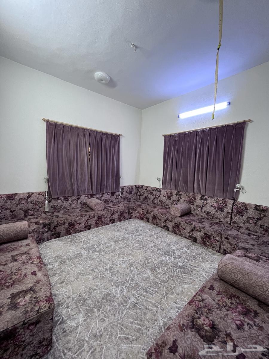 كنب للبيع64520698872961112