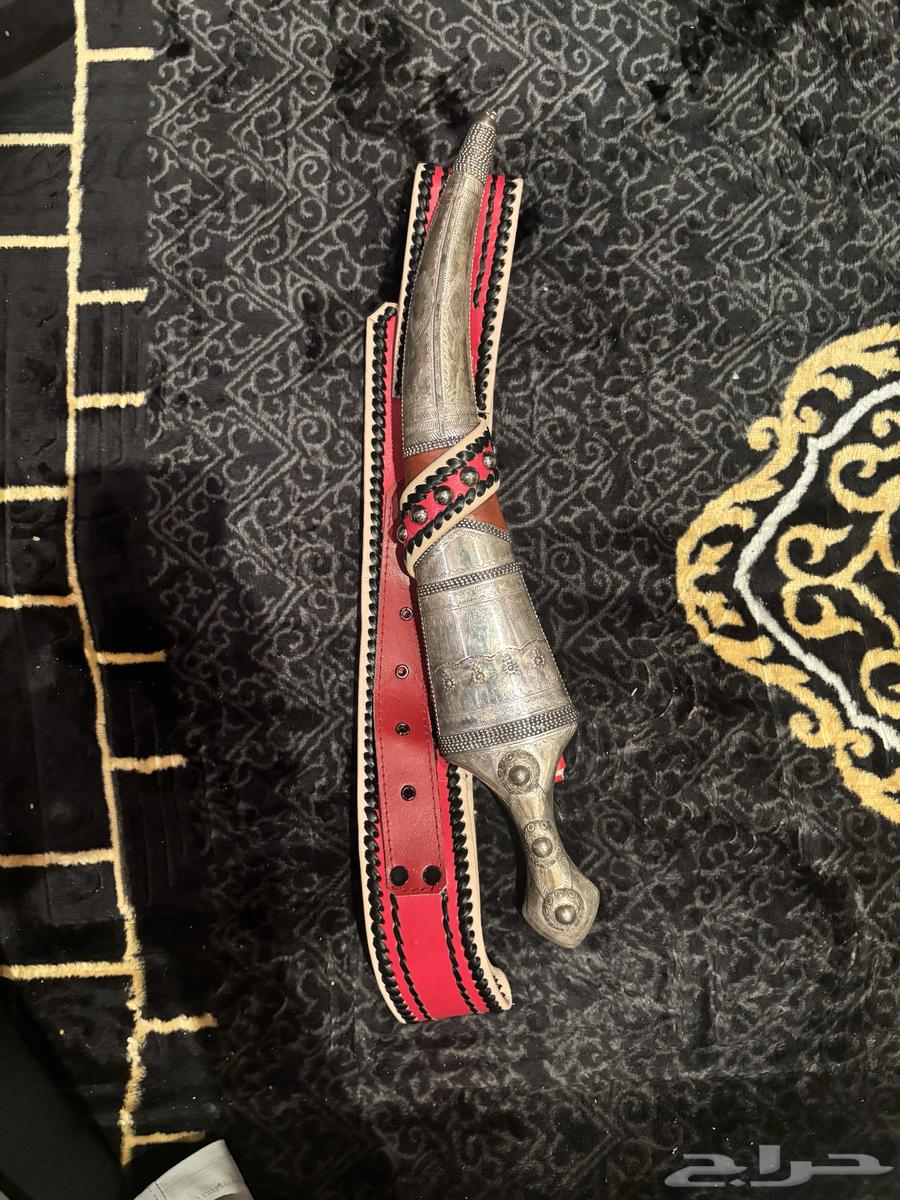 جنبية ملساء64526968650369110