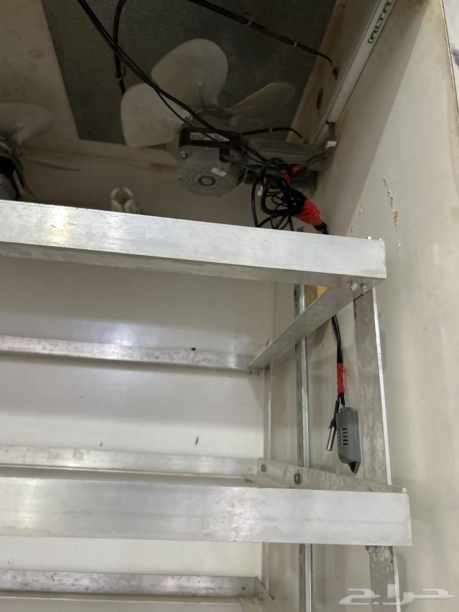 Al-Mahmoudia Diamond Incubator64523555979523112