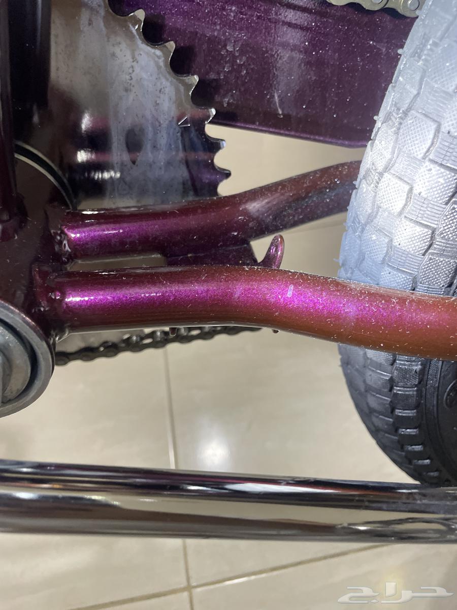 سيكل رامبو لون عنابي غامق64524863883523111