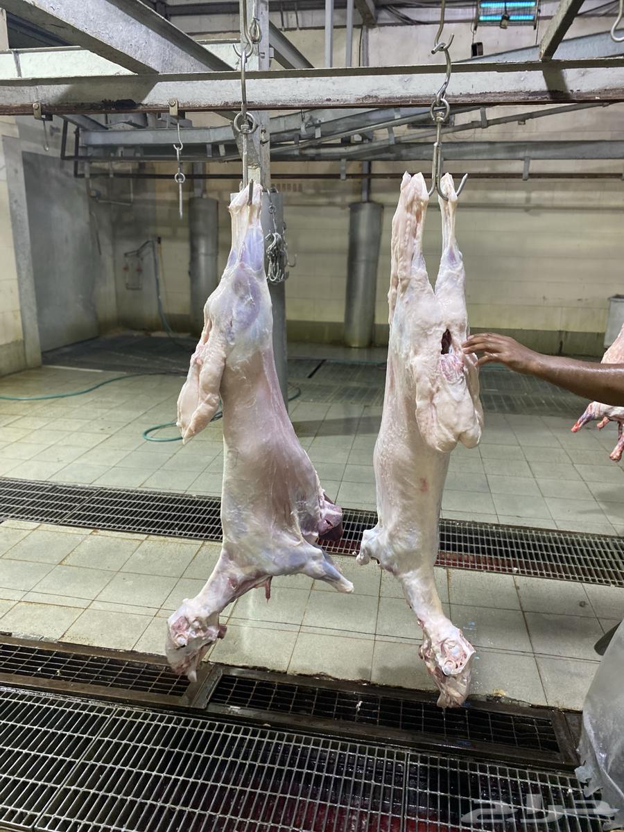 Dhaba764523837967235111