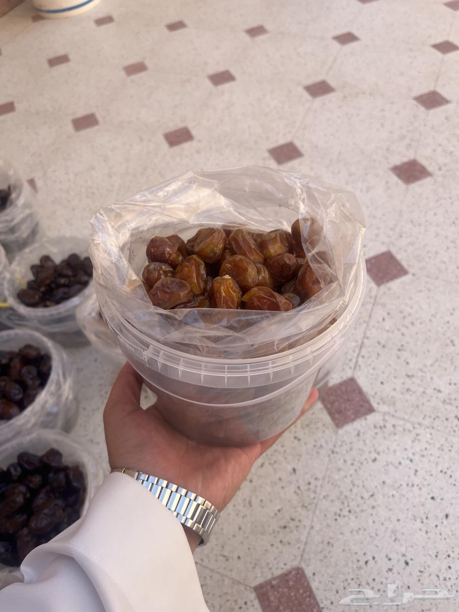 تمر عضوي حائل سكري حلوه برحي64524331068417112