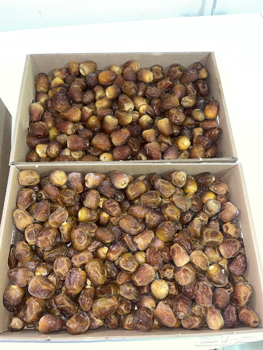 تمر عضوي حائل سكري حلوه برحي64524331068417111