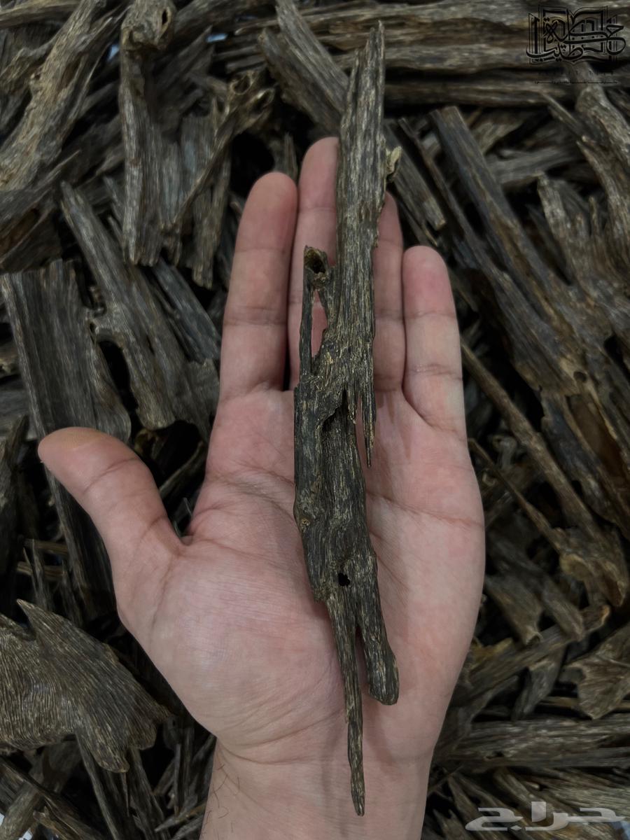 هندي زورا نقلاند سوبر مرتفع طبيعي64523696928002111