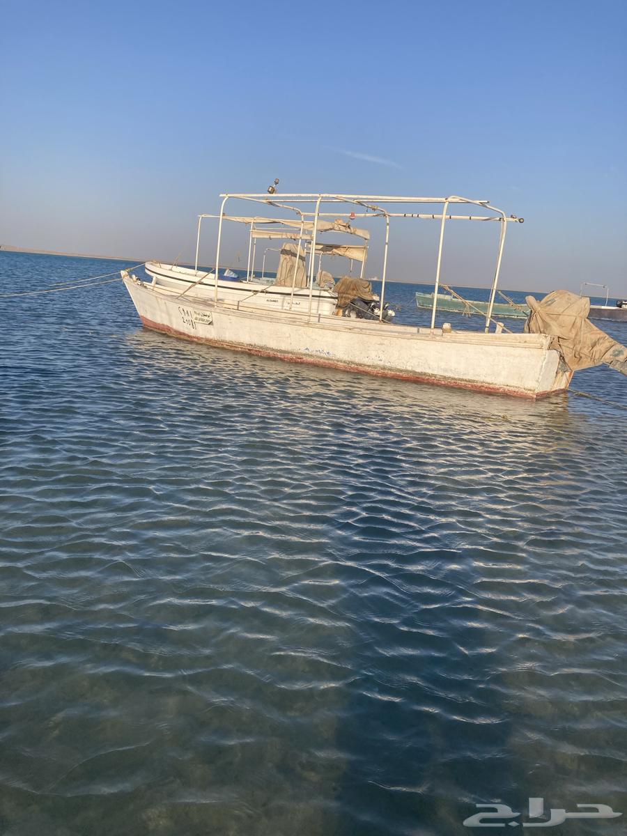 قارب للبيع64526717265537111