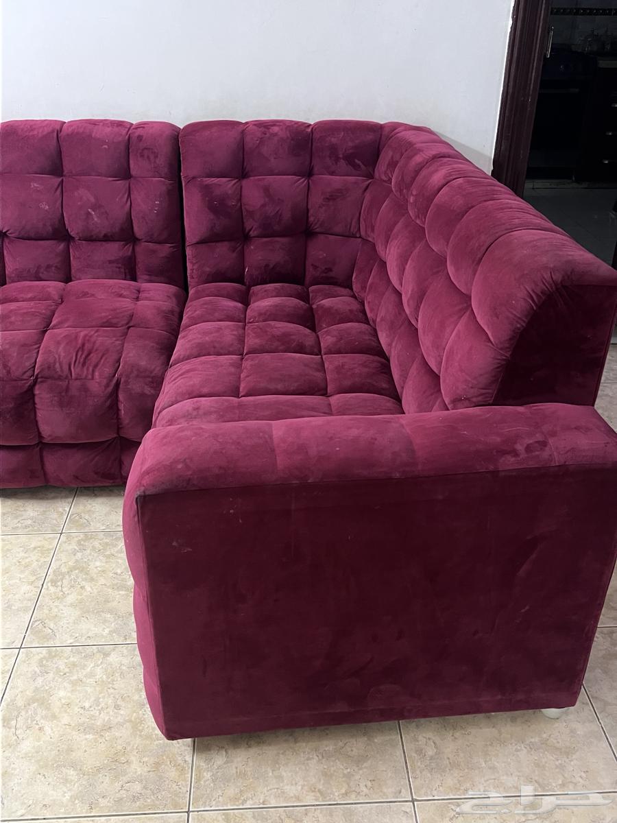 Sofa64525275491842110