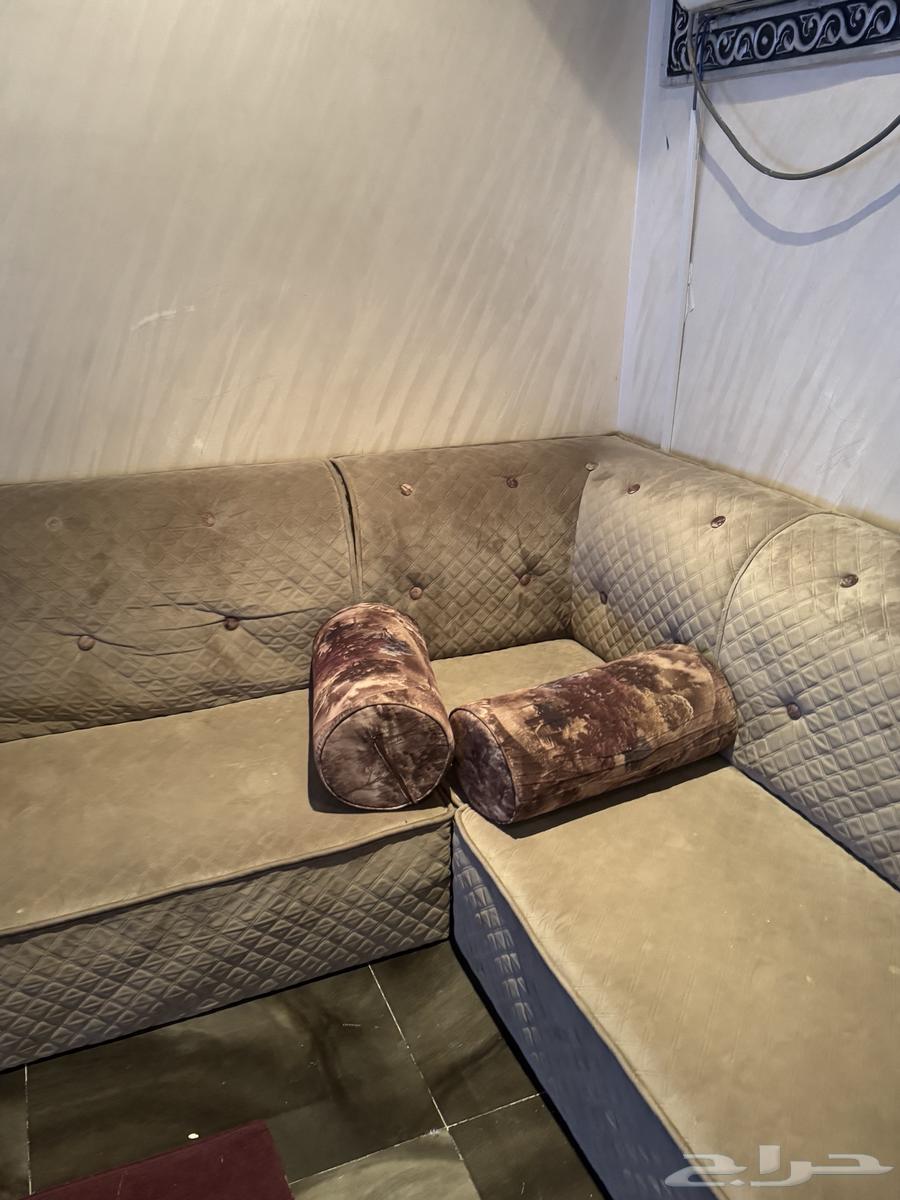 يوجد عندي كنب للبيع64525497010305112