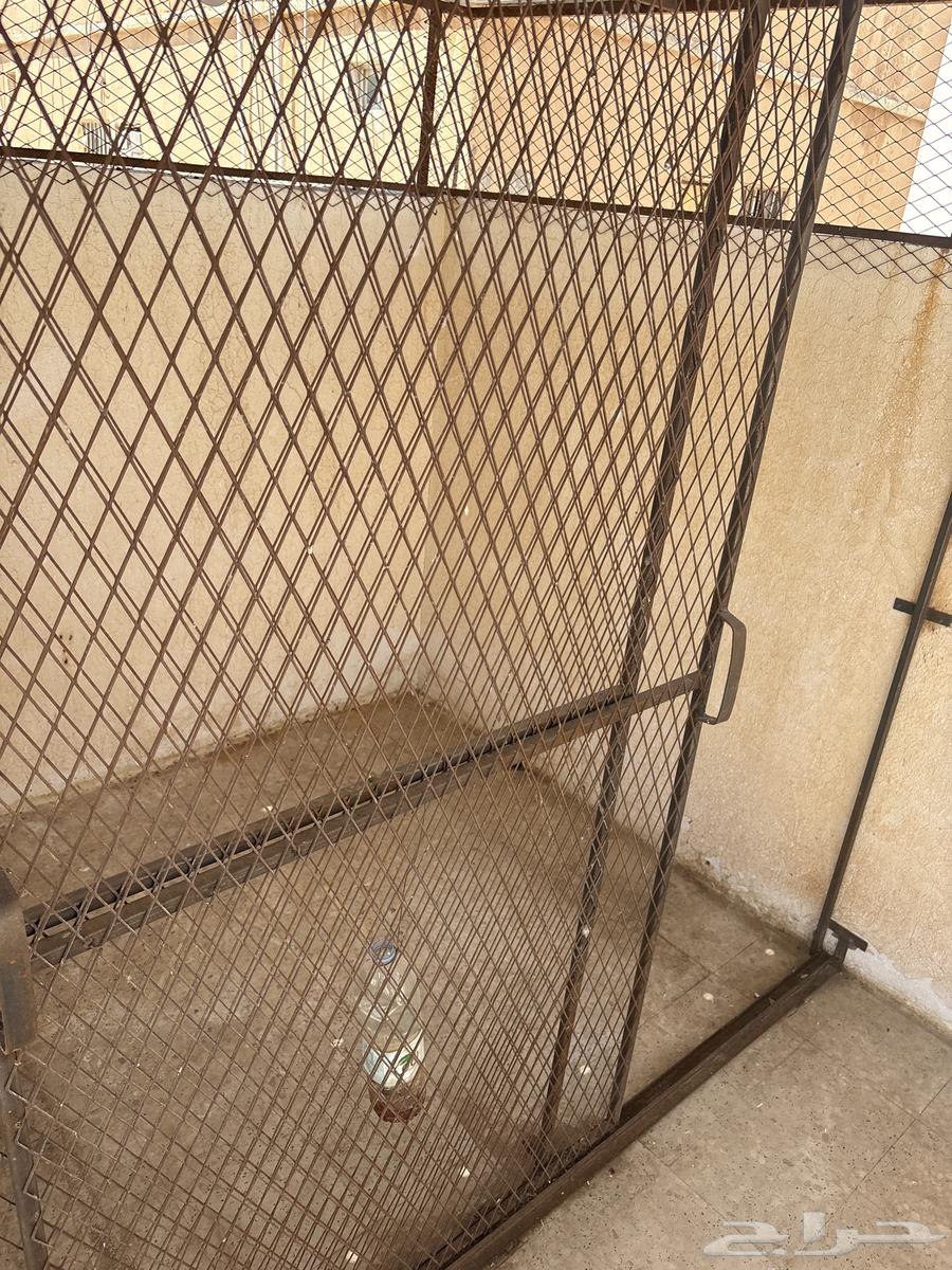 شبك للبيع64581402147715112