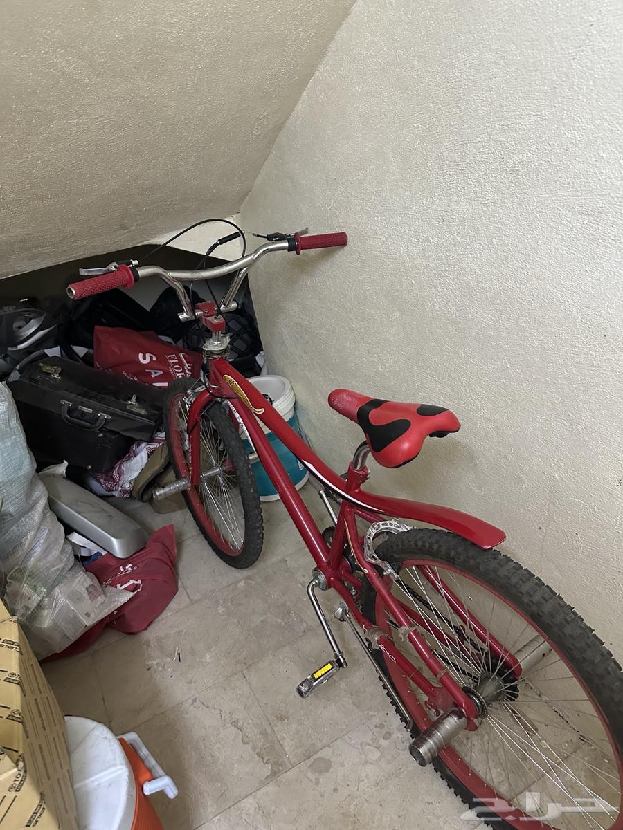 Cobra bike B 300 and the bike is clean, everything in it is tightened except the front frame is broken64526231479043110