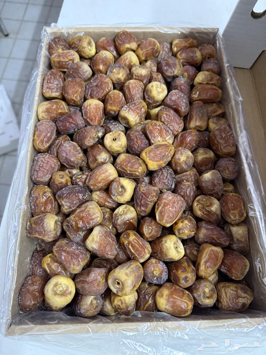 Galaxy Luxury Dates64520460031362110