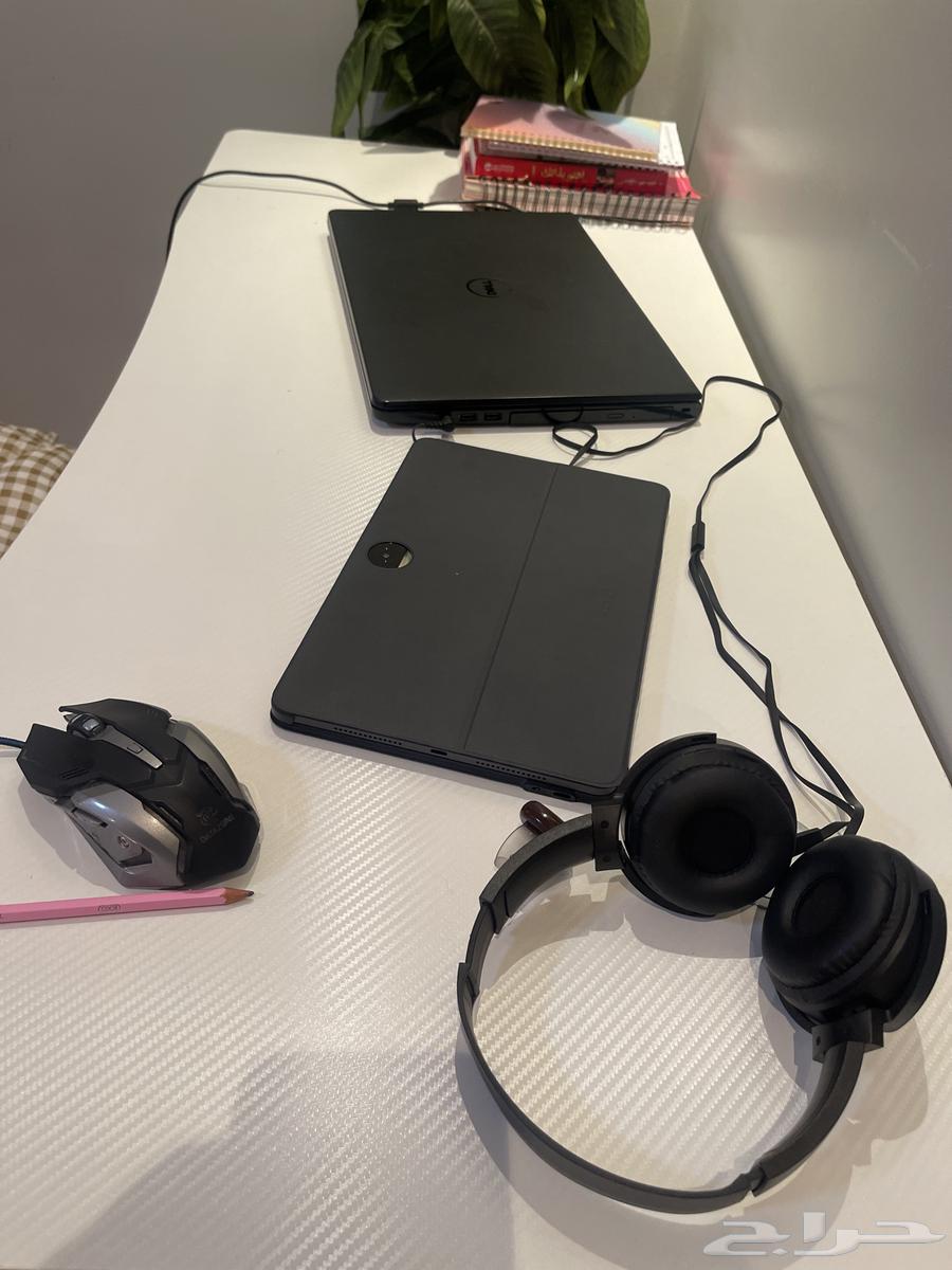 طولة قيمنق64519652950403112