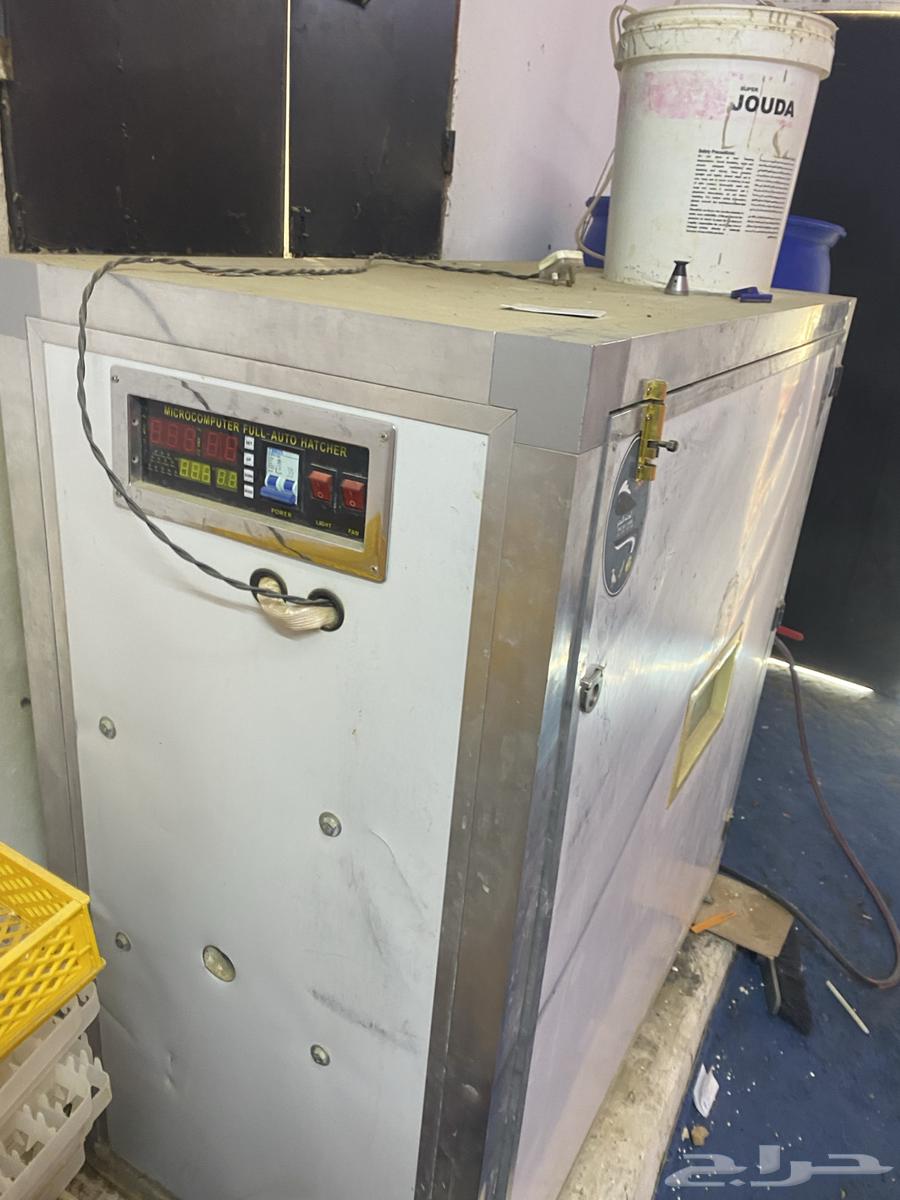 Clean incubator64520628430467113